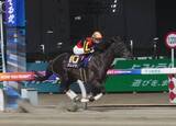 「【川崎競馬】報知オールスターカップはスレイマンが逃げ切りＶ　御神本訓史騎手は報知グランプリＣに続く今年重賞２勝目「ホッとしました」」の画像1