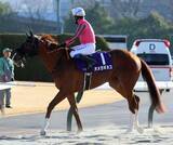 「フェブラリーＳ５着のオメガギネスがゴドルフィンマイルを回避　安田調教師が発表」の画像1