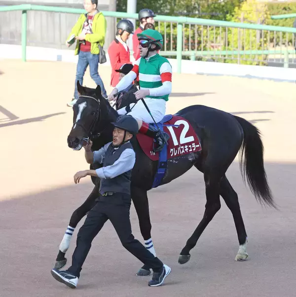 【スプリングＳ】「残念ながらまた引っかかった」とルメール騎手悔やむ　１番人気クレパスキュラーは７着