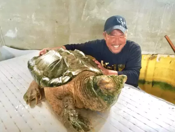 亀田家のシンボル・アニマル逝く　１２０センチ、５０キロ　一家見守ってきた４０歳巨大ワニガメのビックマン…史郎さん「悲しい」