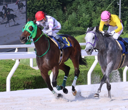 【園田競馬・京都畜産特別】雨女卒業？　佐々木世麗騎手がメイン制覇　快晴の空のもとインタビューも…　まさかのアクシデント