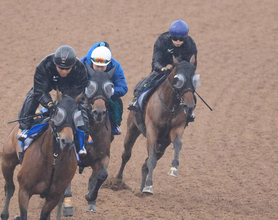 【新潟２歳Ｓ・１週前】トウシンマジックが不良馬場で自己ベスト　「あんなに走れるとは」と秋本師は手応え十分