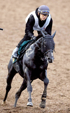 【ＰＯＧ】叔父にＧ１・２勝馬が２頭いるリボンロードが初陣Ｖへ　上原佑調教師「そんなに今のところ弱点もない」