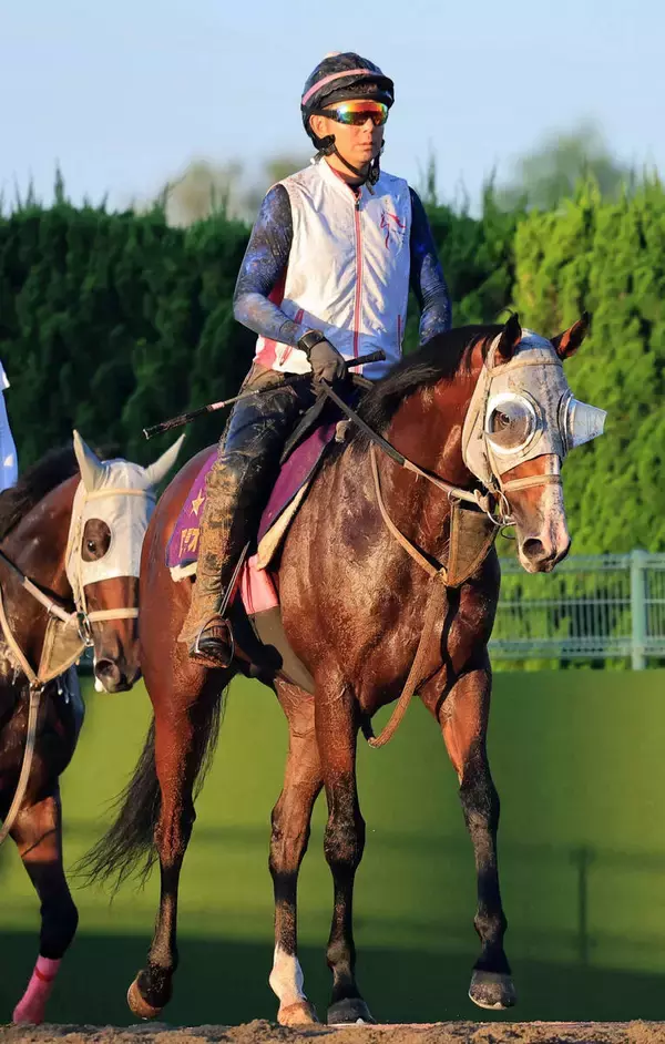 【新潟記念】Ｇ１馬５頭集結！　３歳マイル王・ロデオドライブが初二千も初古馬対決も別定５７キロも乗り越える