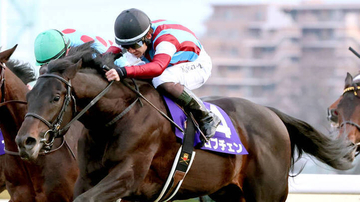 【神戸新聞杯】２冠馬ロブチェンは１枠１番から前哨戦スタート　武豊騎手騎乗の５・９億円馬エムズビギンは６枠６番