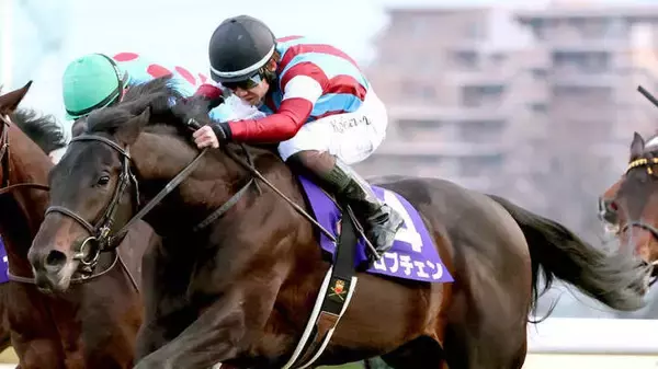 【神戸新聞杯】２冠馬ロブチェンは１枠１番から前哨戦スタート　武豊騎手騎乗の５・９億円馬エムズビギンは６枠６番