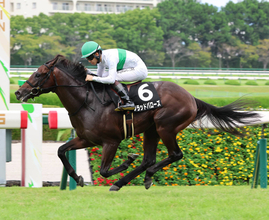 【野路菊Ｓ】歴代最速の末脚の持ち主ジーティーサクラ不発...単勝１・２倍の人気馬を連闘のブラッドバローズが撃破