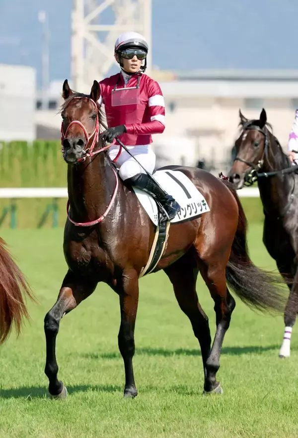 【京都５Ｒ・２歳新馬】坂井瑠星騎手「次につながる内容」フォーエバーヤングの半弟は３着　ヤングリッチが追い上げ及ばず
