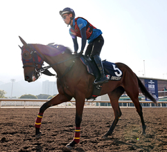 【香港マイル】牝馬２冠馬エンブロイダリーが海外初挑戦　森一調教師「３歳牝馬の中でチャンピオンホース」