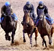 【有馬記念・角田が見た】レガレイラは１週前に比べて格段に良化も完調にはやや物足りず　陣営「整ってきました」