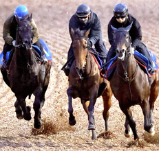 【有馬記念・角田が見た】レガレイラは１週前に比べて格段に良化も完調にはやや物足りず　陣営「整ってきました」