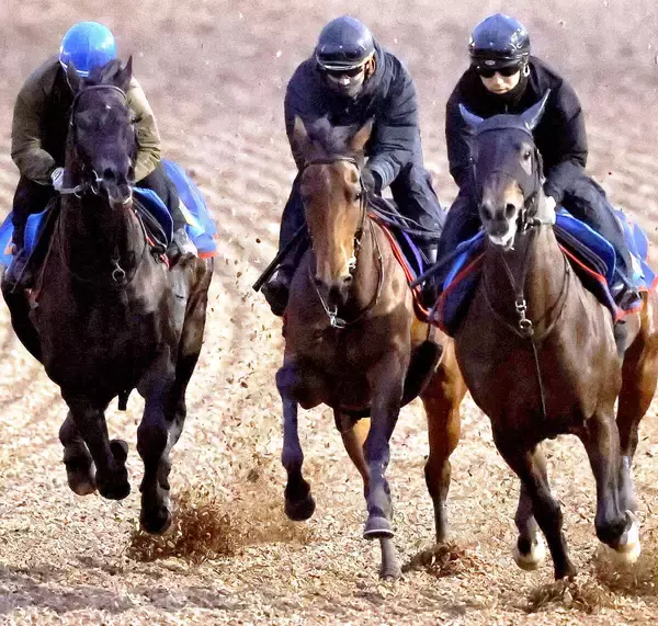 【有馬記念・角田が見た】レガレイラは１週前に比べて格段に良化も完調にはやや物足りず　陣営「整ってきました」