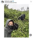 「「マウンテンゴリラに会ってきました」宇賀なつみアナ、レアショット披露「生涯忘れられない経験」」の画像1