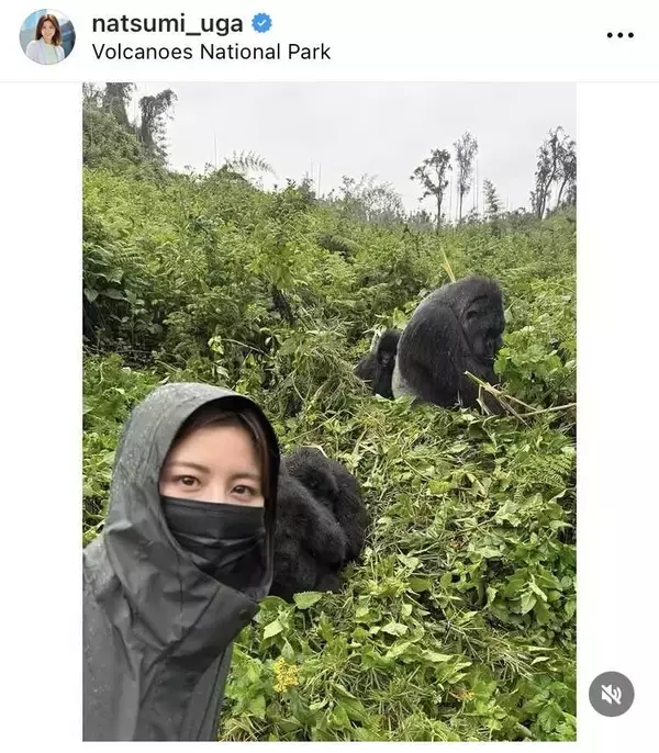 「マウンテンゴリラに会ってきました」宇賀なつみアナ、レアショット披露「生涯忘れられない経験」