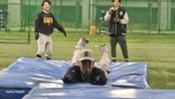 【巨人キャンプルポ】斬新な３軍改革「尖れ」「戦う武器を持て」会田有志監督のＩＤＰ（個人育成計画）がチームを大きく変える