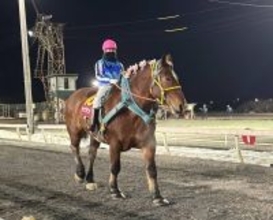 【今井千尋のばんえい日和】１１Ｒ女王サクラヒメのラストレース「勝って終えられるよう頑張ります」