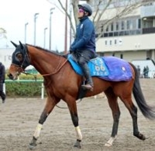 【ダイオライト記念】Ｊｐｎ１覇者のナルカミ２枠２番　地方に移籍初戦のセラフィックコールは１枠１番　枠順確定