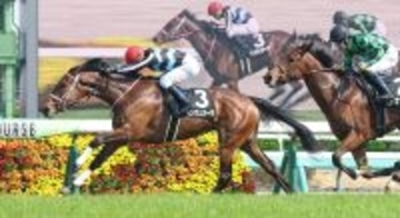 【中山９Ｒ・ミモザ賞】ベンヴェヌータがデビュー２連勝でオープン入り　石橋脩騎手「新馬戦より動けるようになっていた」