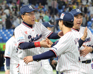 イケヤマヤクルト首位浮上　ウチヤマソウマが昇格即活躍！　ＪＲＡ東京競馬場とコラボでスタメン発表がカタカナ表記