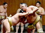 「十両・湘南乃海、出稽古の玉鷲らと１４番　番付発表前には湘南乃風のライブへ「最高に楽しかった。僕も人に勇気を与えられるように」」の画像1
