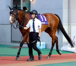 【さきたま杯】「ベストは１２００メートルぐらいでは」武豊騎手がママコチャ敗因を分析　直線伸びず５着