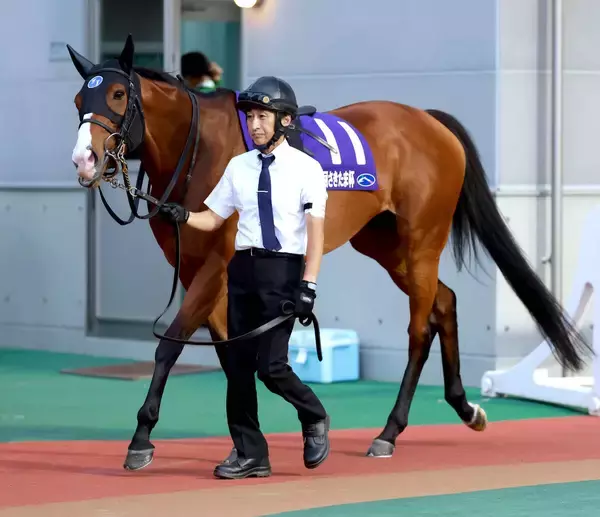 【さきたま杯】「ベストは１２００メートルぐらいでは」武豊騎手がママコチャ敗因を分析　直線伸びず５着