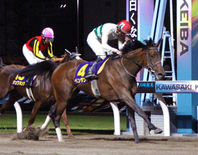 【注目馬動向】関東オークスＶのペンダントはブリーダーズＧＣを視野　ココナッツブラウンは北村友一騎手とクイーンＳ
