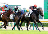 「【注目馬動向】新潟で新馬ＶのホウオウモノポリーはアイビーＳに参戦　先輩ドウデュースなどＧ１馬続出の出世レース」の画像1