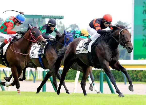 【注目馬動向】新潟で新馬ＶのホウオウモノポリーはアイビーＳに参戦　先輩ドウデュースなどＧ１馬続出の出世レース
