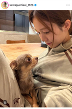 新婚の川口葵、愛犬と見つめ合うも「懐いてるのは旦那さんへの方」…夫は元Ｋ―１王者・武尊