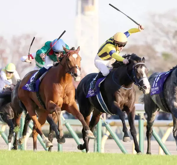 マスカレードボールとフォーエバーヤングが同レーティングで２位　ロンジンワールドレースホースランキング