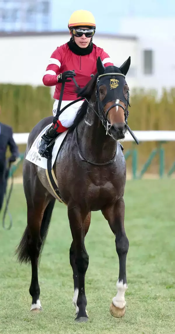 【ＰＯＧ】デビュー勝ちの３・３億円馬ペイジャーは３月８日の中山での自己条件を目指す　鞍上は川田将雅騎手