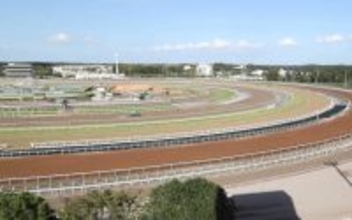 馬体重と「水分」に意外な関連