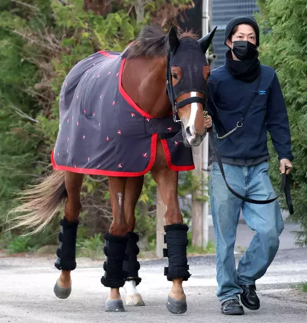 【桜花賞】フェスティバルヒルは活気ある姿で周回　四位調教師「元々の地力は間違いなくありますから」