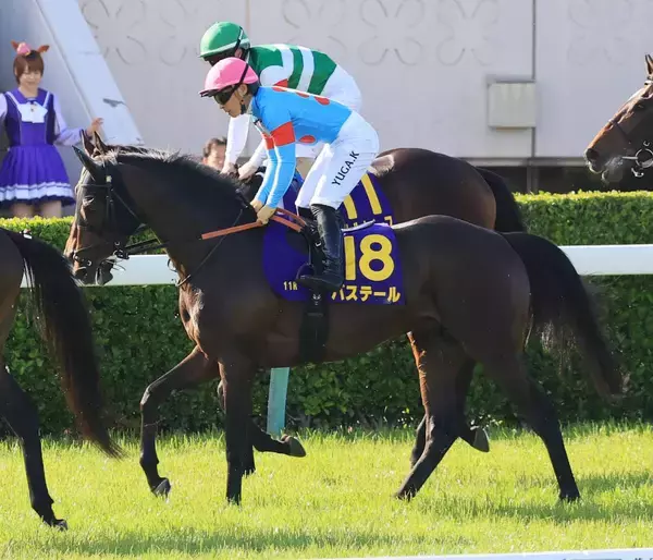 【皐月賞】報知杯弥生賞の勝ち馬バステールは１１着　川田将雅騎手「弥生賞からひとつ成長して、今日を迎えられました」
