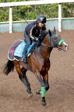 【読売マイラーズＣ・松ケ下の特注馬】エルトンバローズがここで復活か　追い切り後の杉山晴調教師のコメントが印象的