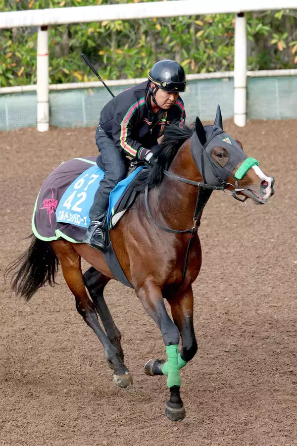 【読売マイラーズＣ・松ケ下の特注馬】エルトンバローズがここで復活か　追い切り後の杉山晴調教師のコメントが印象的
