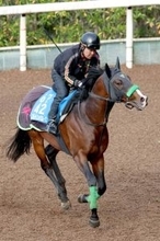 【読売マイラーズＣ・松ケ下の特注馬】エルトンバローズがここで復活か　追い切り後の杉山晴調教師のコメントが印象的