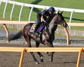 日曜東京競馬場の注目激走馬…東京１１Ｒ日本ダービー・Ｇ１
