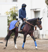 【４日の注目・函館８Ｒ】３・９億円馬ダノンヒストリー復活なるか　新馬でクロワデュノール級の走り見せた期待馬が復帰戦