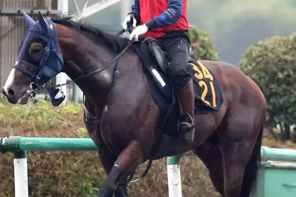 【京成杯ＡＨ・金曜気配】３歳馬のディールメーカーは精神面で成長　大和田調教師「いい意味で大人になった」