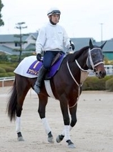 【チャンピオンズＣ】どの馬が勝ってもおかしくない混戦模様　血統的に強調材料が多く買いなのはアウトレンジだ