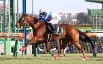 【中山９Ｒ・菜の花賞】アメティスタが初マイルに対応して勝利　横山武史騎手「何より、すごく素直」