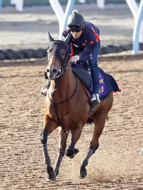 【かしわ記念】あっ！！２番人気のコスタノヴァがまたも痛恨の大出遅れ　４着にレーン騎手「 駐立も問題なかったけど...」