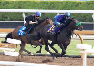 【日本ダービー・１週前】皐月賞馬ロブチェンは２４００メートルでも「崩れるイメージはあまりない」