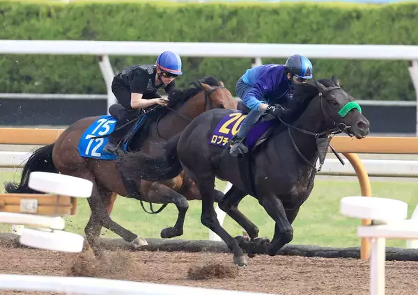 【日本ダービー・１週前】皐月賞馬ロブチェンは２４００メートルでも「崩れるイメージはあまりない」