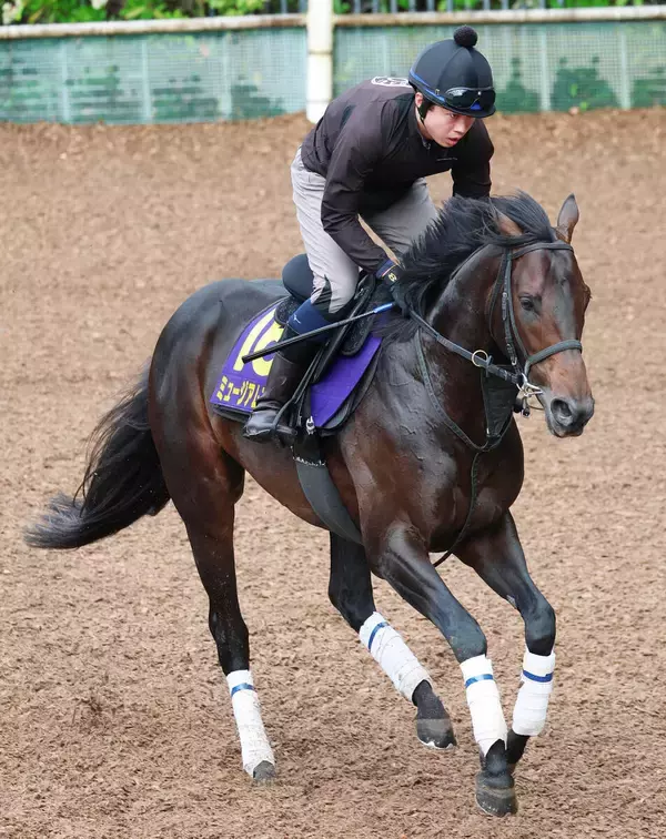 【宝塚記念】有馬記念から直行で連勝なら７７年トウショウボーイ以来　ミュージアムマイルが偉業に挑む