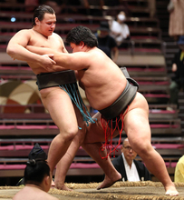 鳥取城北高出身の１８歳・井上、英国出身・栄誠に前相撲の雪辱「２０歳までに十両に上がりたい」