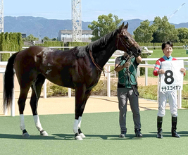 【京都４Ｒ・２歳新馬】根性めっちゃすごい！　デラスゴイガンがマッチレース制す　松山弘平騎手「強い競馬だった」