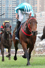 安田記念にＧ１・６勝の超大物ロマンチックウォリアーなど３頭の外国馬が予備登録